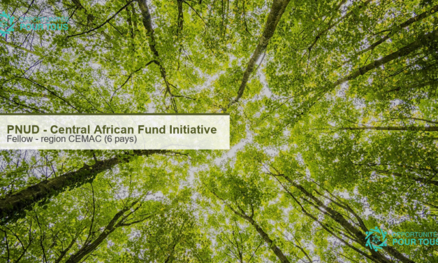 PNUD : Fellow Central African Fund Initiative pour la region CEMAC (Cameroun, RCA, RDC, Guinee equatoriale, Gabon, Republique du Congo)