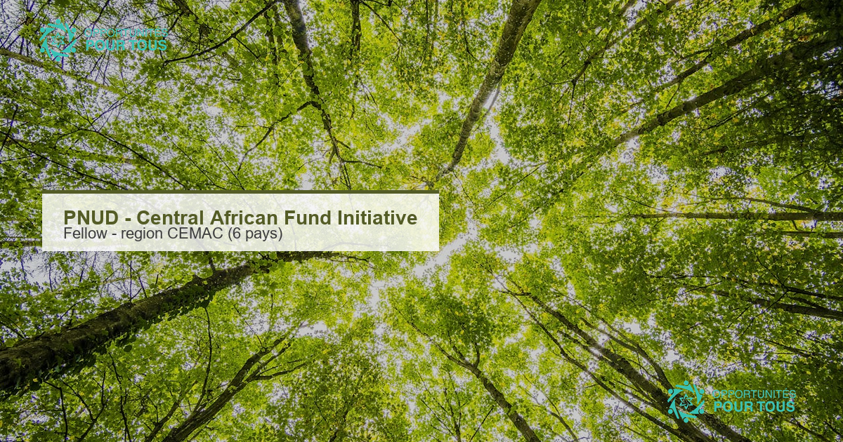 PNUD : Fellow Central African Fund Initiative pour la region CEMAC (Cameroun, RCA, RDC, Guinee equatoriale, Gabon, Republique du Congo)