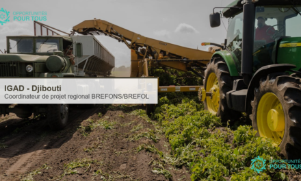 IGAD recrute un(e) Coordinateur(trice) de projet regional BREFONS/BREFOL pour la Corne de l&rsquo;Afrique (Djibouti)