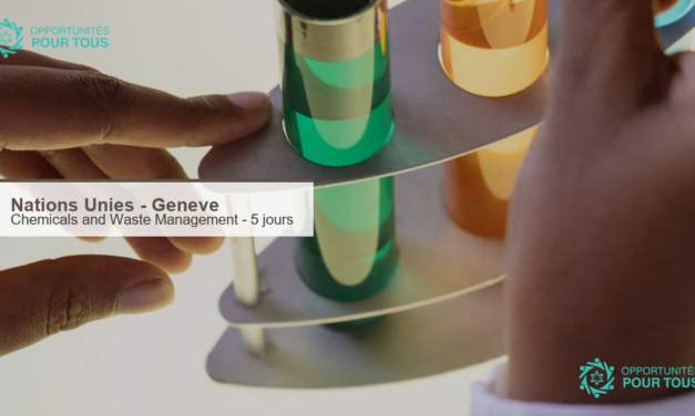 ONU : Programme d&rsquo;etudes Chemicals and Waste Management – 5 jours en presentiel a Geneve (places limitees)