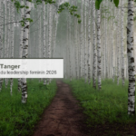 PNUD Maroc : Academie nationale du leadership feminin 2026 – 10 jeunes femmes a Tanger