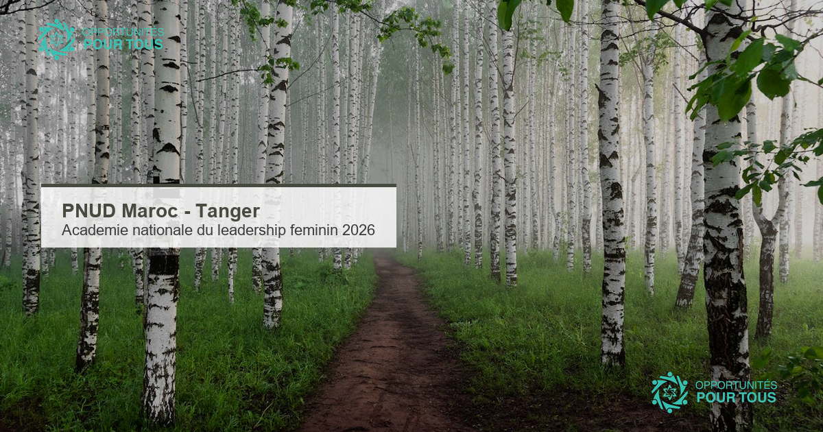 PNUD Maroc : Academie nationale du leadership feminin 2026 – 10 jeunes femmes a Tanger