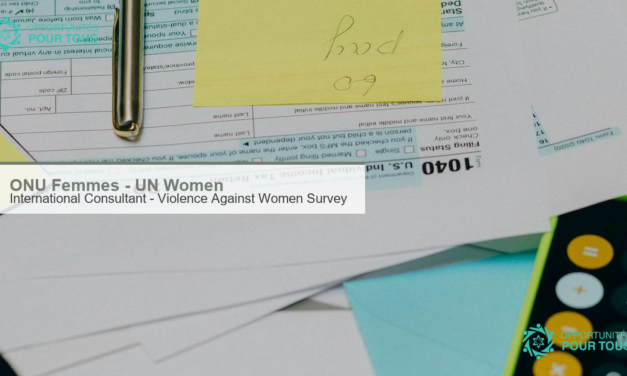 ONU Femmes recherche un(e) International Consultant sur l&rsquo;enquete Violence Against Women