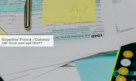 Expertise France : appel a manifestation d&rsquo;interet pour une etude du cadre legal sur les VBG/FT a Cotonou