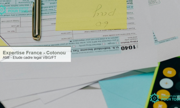 Expertise France : appel a manifestation d&rsquo;interet pour une etude du cadre legal sur les VBG/FT a Cotonou