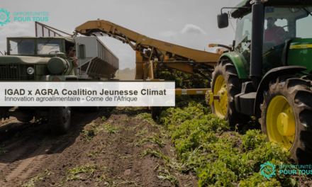 IGAD x AGRA : Coalition Regionale de la Jeunesse sur le Climat et les Systemes Agroalimentaires Resilients (Corne de l&rsquo;Afrique)