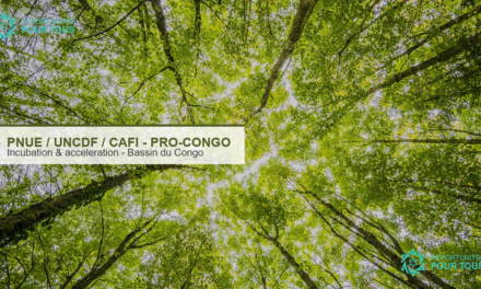 PRO-CONGO : appel a candidatures pour les startups & PME a impact environnemental positif dans le bassin du Congo