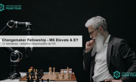 Changemaker Fellowship : Microsoft Elevate et EY accompagnent les ONG, ONU et OIG dans l&rsquo;adoption responsable de l&rsquo;IA (10 semaines)