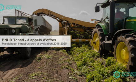 PNUD Tchad : 3 appels a candidatures – perimetres maraichers, salle de reunions et evaluation du processus democratique