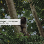 Abidjan : recrutement d&rsquo;un(e) Support Call Center / Chef de Plateau (120 000 FCFA)