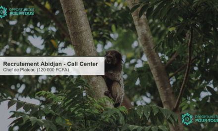 Abidjan : recrutement d&rsquo;un(e) Support Call Center / Chef de Plateau (120 000 FCFA)