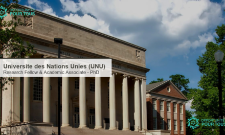 UNU : appel a candidatures pour un.e Research Fellow et Academic Associate (PhD – PSA6 2026)