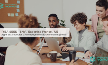 IYBA SEED : appel a candidatures pour les Structures d Accompagnement a l Entrepreneuriat (SAE) au Benin (SNV + Expertise France + UE)