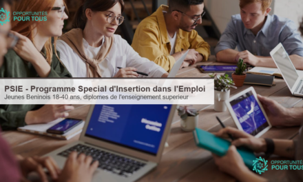 PSIE Benin : conditions d eligibilite au Programme Special d Insertion dans l Emploi pour les jeunes Beninois (18-40 ans)