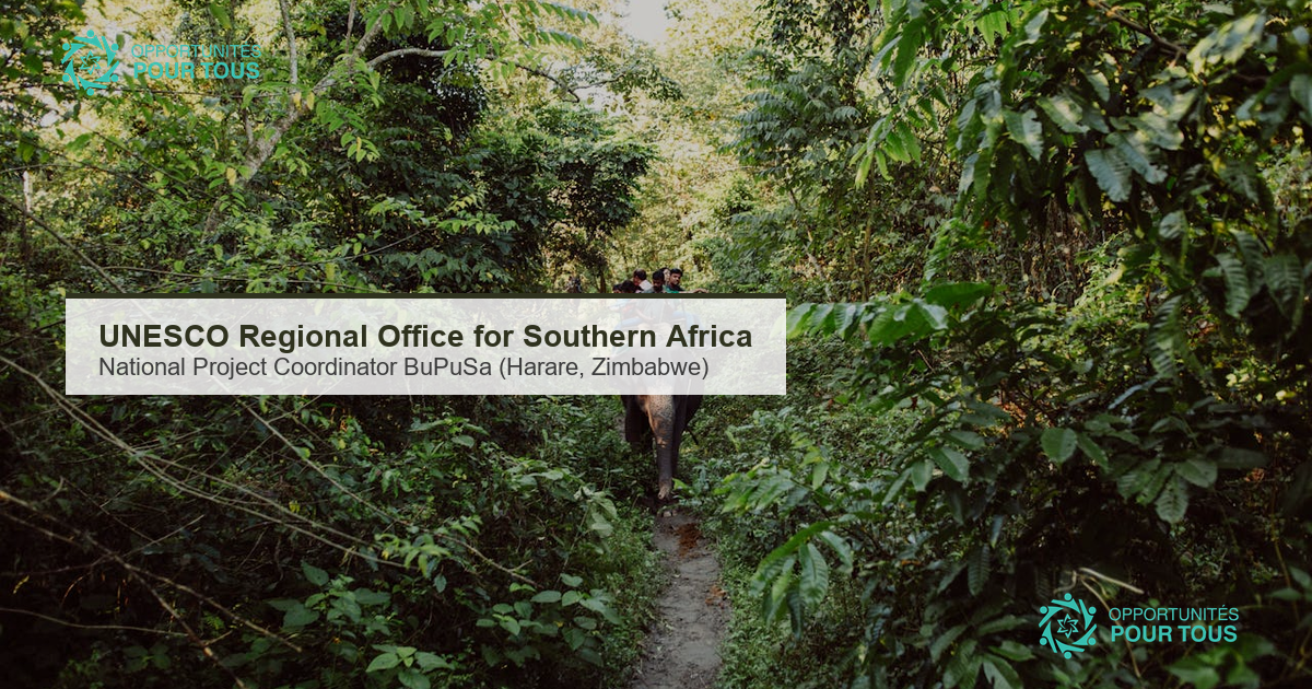 UNESCO Bureau regional pour l Afrique australe : National Project Coordinator BuPuSa (Harare, ouvert aux Zimbabween.ne.s)