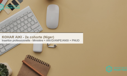 KOHAR AIKI 2e cohorte (Niger) : programme d&rsquo;insertion professionnelle pour les jeunes diplômés (Ministère de la Jeunesse + ANVD/ANPE/ANSI + PNUD)