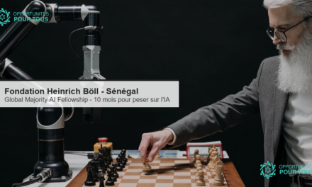 Fondation Heinrich Böll : Global Majority AI Fellowship 2026 – 10 mois pour peser sur les décisions mondiales en IA (Sud Global)