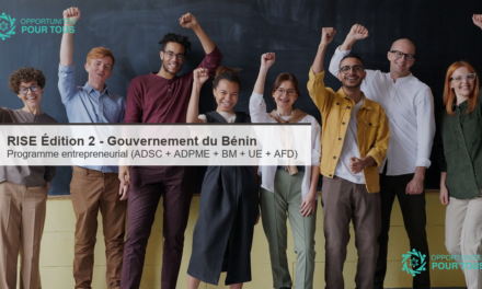 Programme RISE Édition 2 (Bénin) : appel à candidatures pour les PME béninoises (Gouvernement + ADSC + ADPME + BM + UE + AFD)