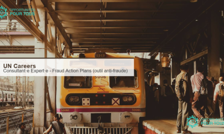 UN Careers : appel à candidatures pour un·e Consultant·e expert·e en plans d&rsquo;action anti-fraude (Fraud Action Plans Tool)