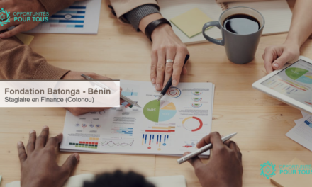 Fondation Batonga recrute un·e stagiaire en Finance à Cotonou (Bénin)