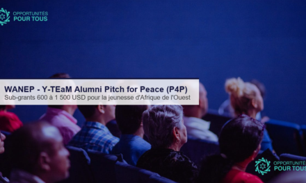 WANEP : Y-TEaM Alumni Pitch for Peace (P4P) – sub-grants 600-1 500 USD pour la jeunesse d&rsquo;Afrique de l&rsquo;Ouest