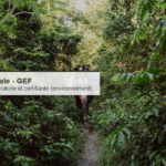 Banque Mondiale : formation en ligne gratuite et certifiante « Introduction au Fonds pour l&rsquo;environnement mondial (GEF) »