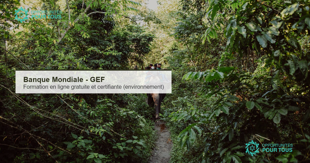 Banque Mondiale : formation en ligne gratuite et certifiante « Introduction au Fonds pour l&rsquo;environnement mondial (GEF) »