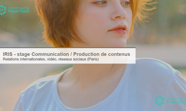 IRIS : offre de stage Assistant·e Relations Internationales / Production de contenus (temps plein, à partir du 25 août 2026)