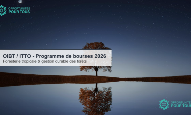 OIBT / ITTO : programme de bourses 2026 pour les futur·e·s dirigeant·e·s de la foresterie tropicale (jeunes et professionnel·le·s à mi-carrière)