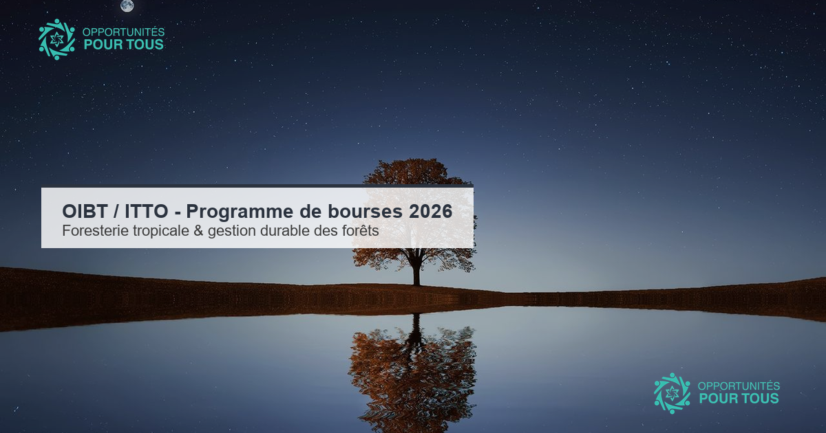 OIBT / ITTO : programme de bourses 2026 pour les futur·e·s dirigeant·e·s de la foresterie tropicale (jeunes et professionnel·le·s à mi-carrière)