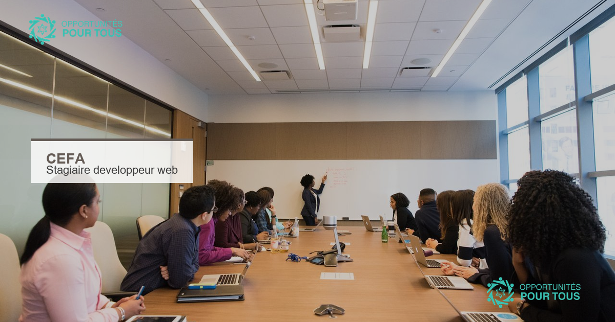 CEFA recrute un.e stagiaire développeur web