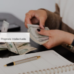 OAPI – PFPSPI : programme de financement de projets valorisant la propriété intellectuelle (clôture imminente)