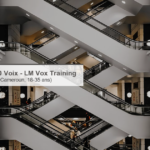 10 Femmes, 10 Voix / LM Vox Training (Cameroun) – programme de transformation et de leadership féminin (18-35 ans) cover b179c 26 dixfemmes