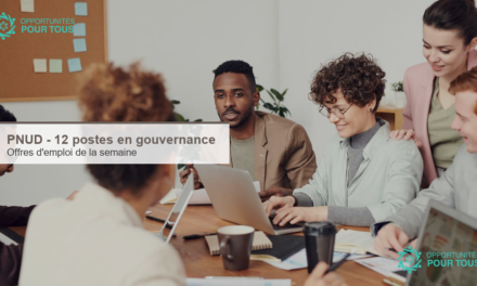 PNUD – 12 postes ouverts dans le domaine de la gouvernance (offres d’emploi de la semaine)
