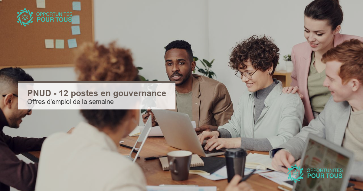 PNUD – 12 postes ouverts dans le domaine de la gouvernance (offres d’emploi de la semaine)