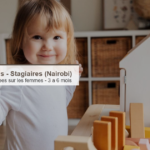 FemDigiNomics (Health Systems Gender Justice) – recrutement de stagiaires (Nairobi) : données et IA centrées sur les femmes