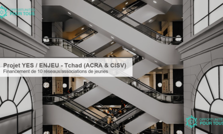 Projet YES / ENJEU (ACRA & CISV) – appel à candidatures : financement de 10 réseaux/associations de jeunes pour l&rsquo;engagement civique au Tchad