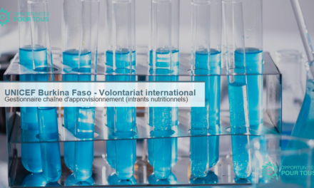 UNICEF Burkina Faso – Volontaire international·e : Gestionnaire de chaîne d&rsquo;approvisionnement des intrants nutritionnels (Ouagadougou)