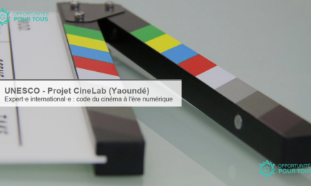 UNESCO – Expert·e International·e en élaboration du code du cinéma à l&rsquo;ère numérique (Projet CineLab, Yaoundé, Cameroun)