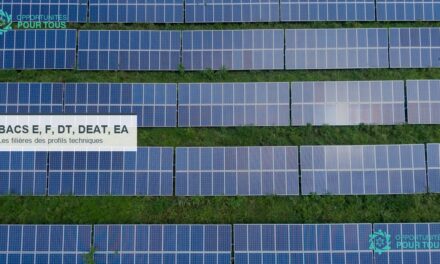 Bacs E, F, DT, DEAT, EA : les filières taillées pour les profils techniques