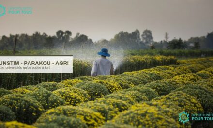 UNSTIM, Parakou, Agriculture : les universités que les bacheliers oublient