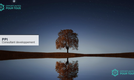 Le PPI recrute un.e consultant.e en développement organisationnel
