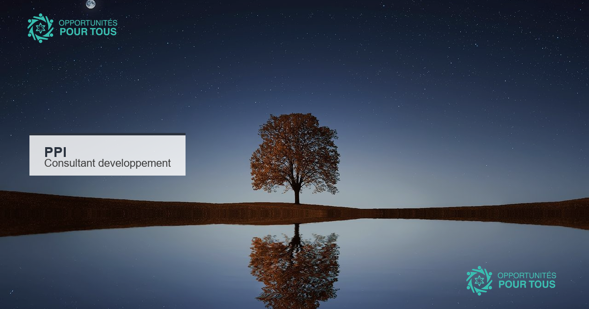 Le PPI recrute un.e consultant.e en développement organisationnel