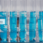 Master UNU-EHS & Bonn : bourses DAAD disponibles
