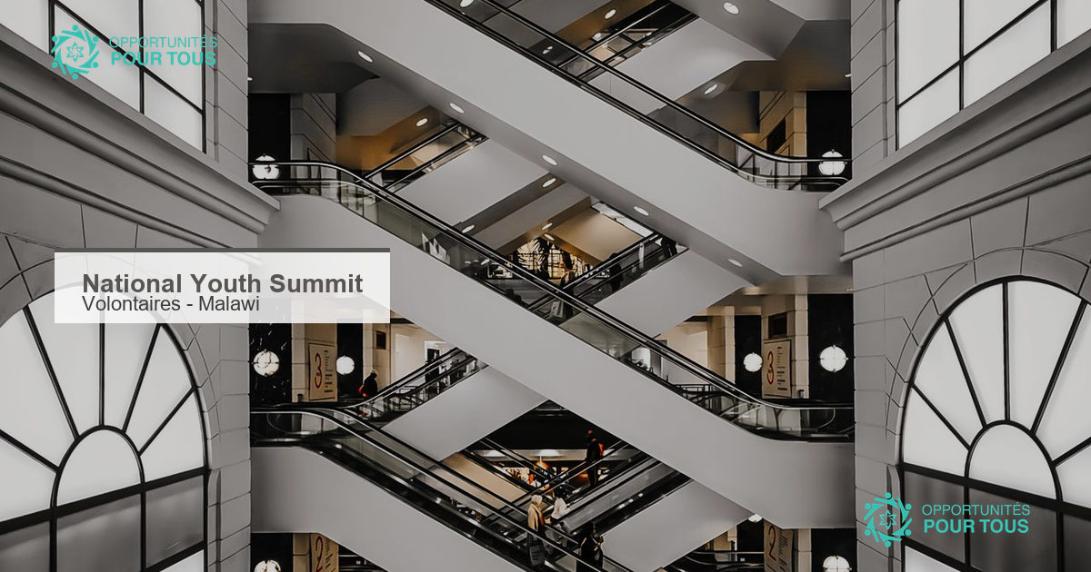 National Youth Summit 2026 : appel à volontaires au Malawi