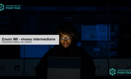 Cours en ligne : enquêter sur la désinformation au Sahel
