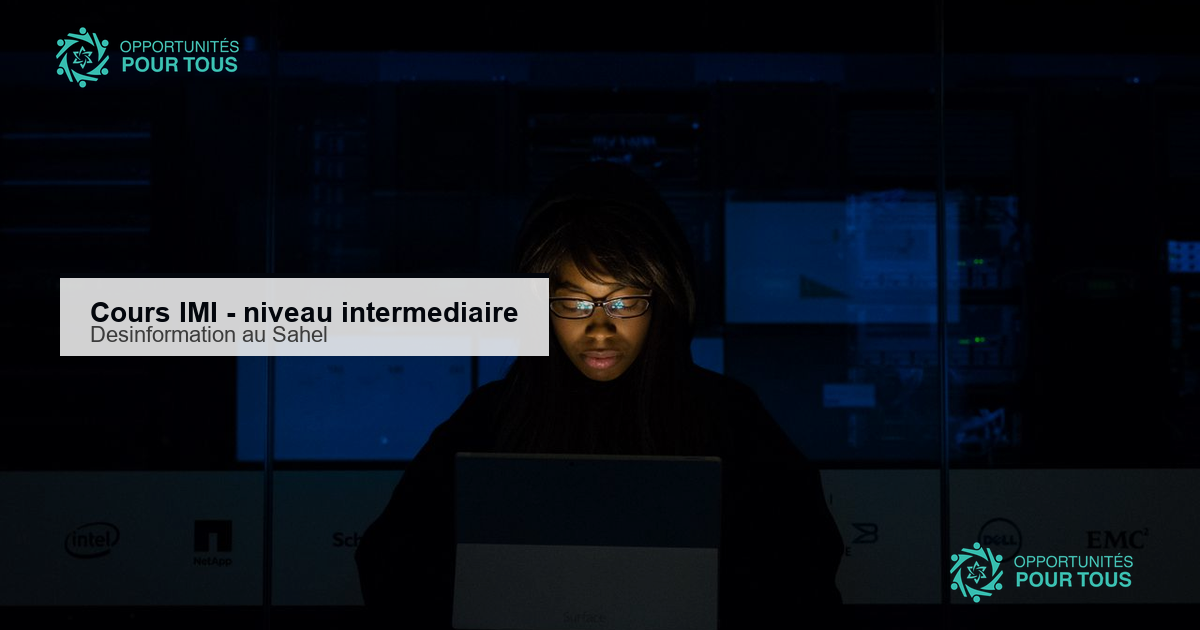 Cours en ligne : enquêter sur la désinformation au Sahel
