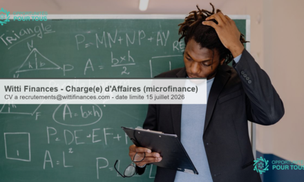 Witti Finances – recrute un(e) Chargé(e) d&rsquo;Affaires (microfinance)