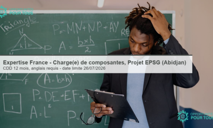 Expertise France – recrute un(e) Chargé(e) de composantes, Projet EPSG (H/F, Abidjan)