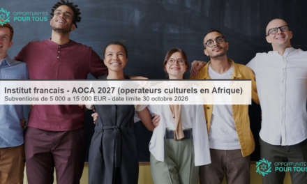 Institut français – AOCA 2027 : Appui aux opérateurs culturels en Afrique